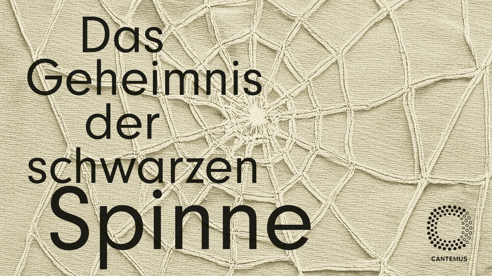 Das Geheimnis der schwarzen Spinne