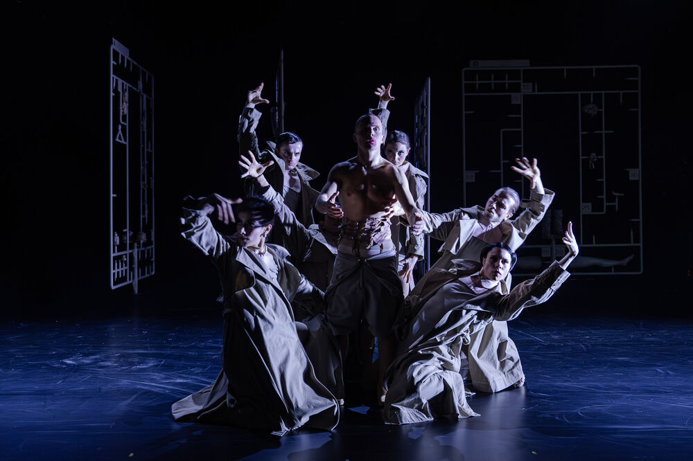 Video "Publikumsstimmen DOLLHOUSE (UA)"