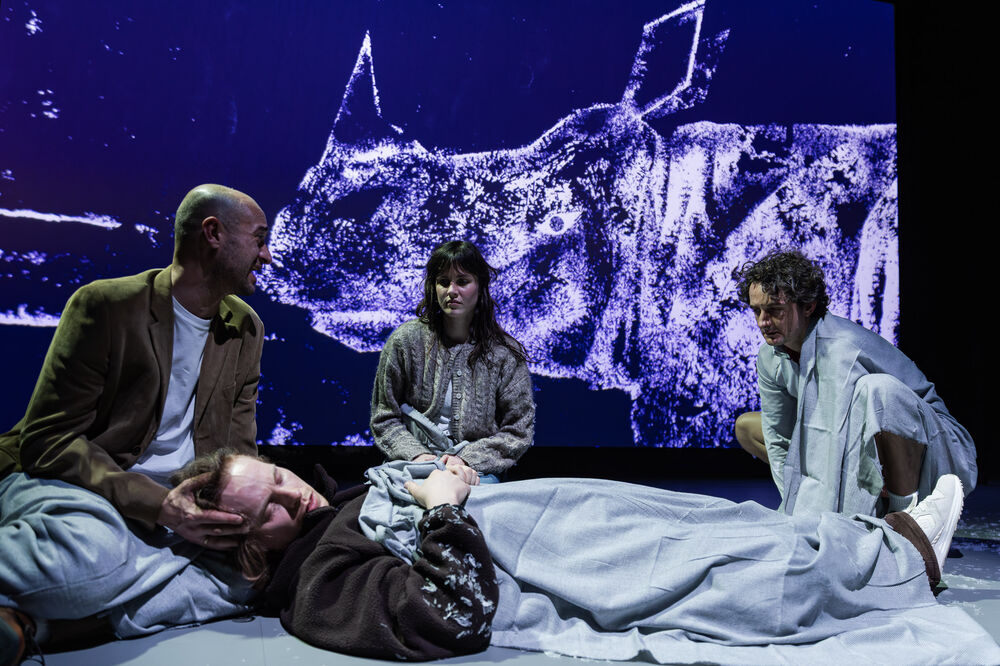 Clemens Maria Riegler, Joscha Eißen, Alina Thiemann &amp; Max Roenneberg