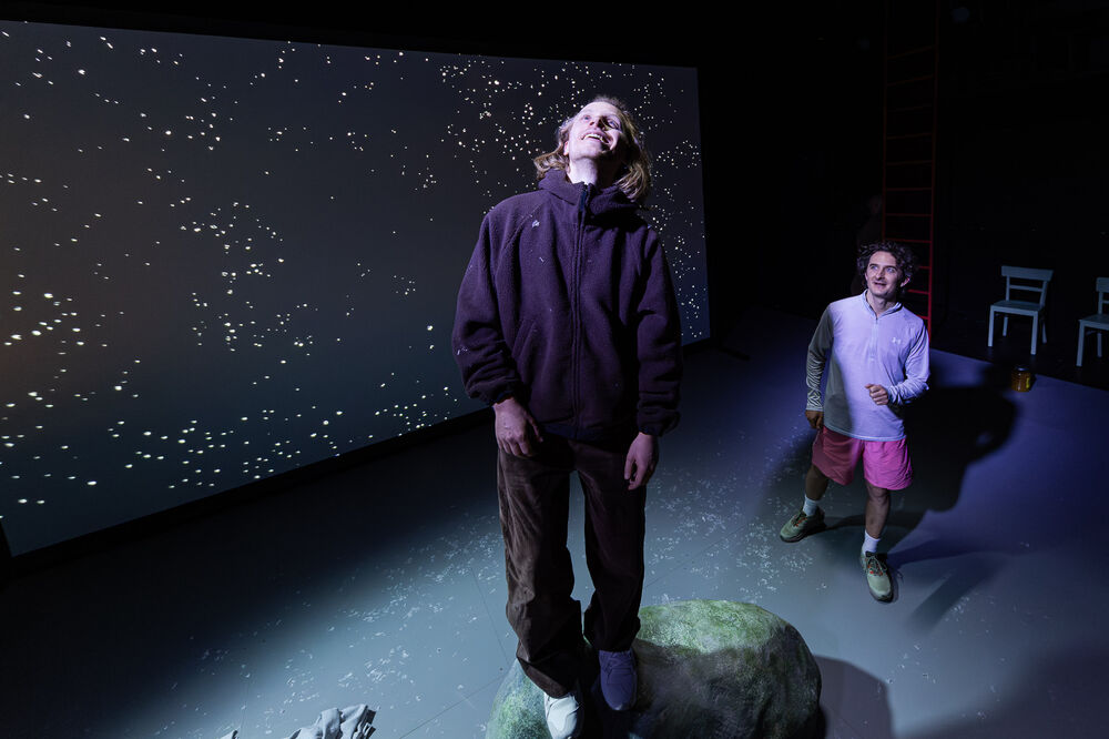 Was das Nashorn sah ...