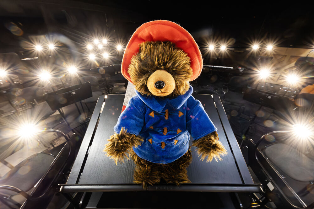 Paddington Bärs erstes Konzert