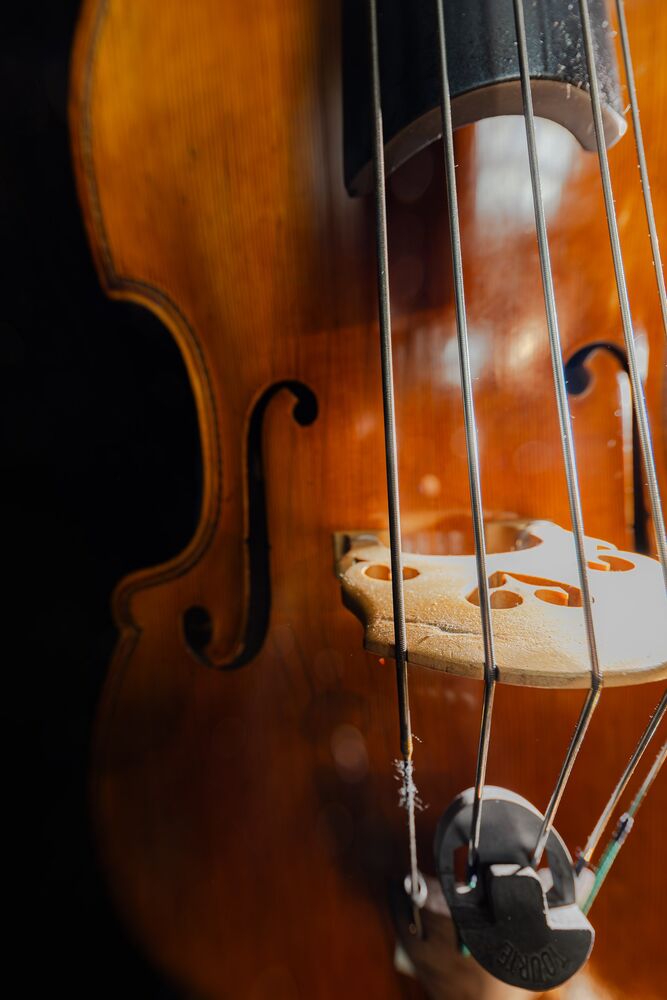 1. Philharmonisches Konzert | Wandel(n)