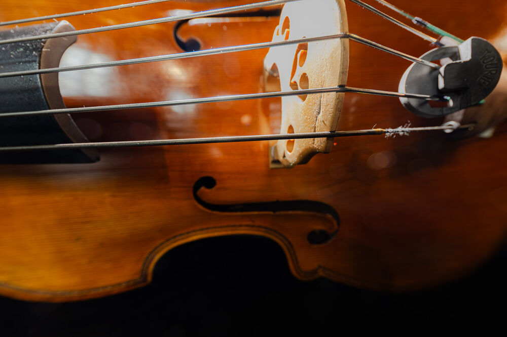 1. Philharmonisches Konzert | Wandel(n)