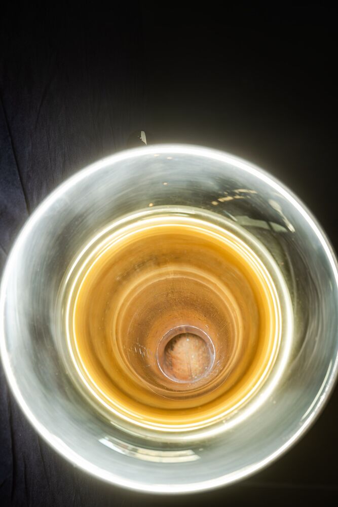 3. Philharmonisches Konzert | Mitrei<span class=