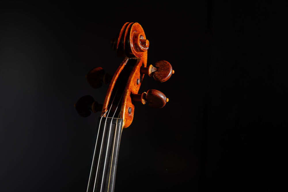 N.N. | 5. Hauskonzert