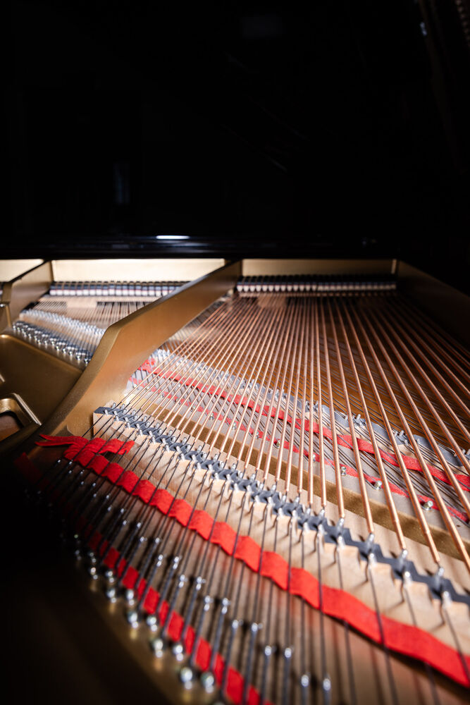 8. Philharmonisches Konzert | Mit Feuer