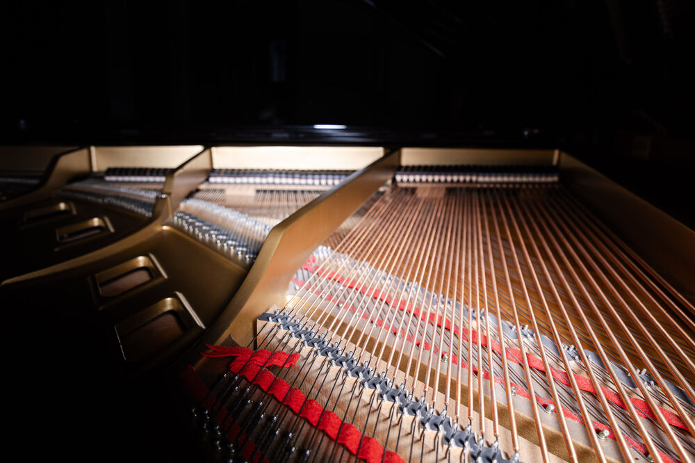 8. Philharmonisches Konzert | Mit Feuer